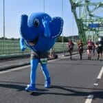 Are you ready to Step into Summer?